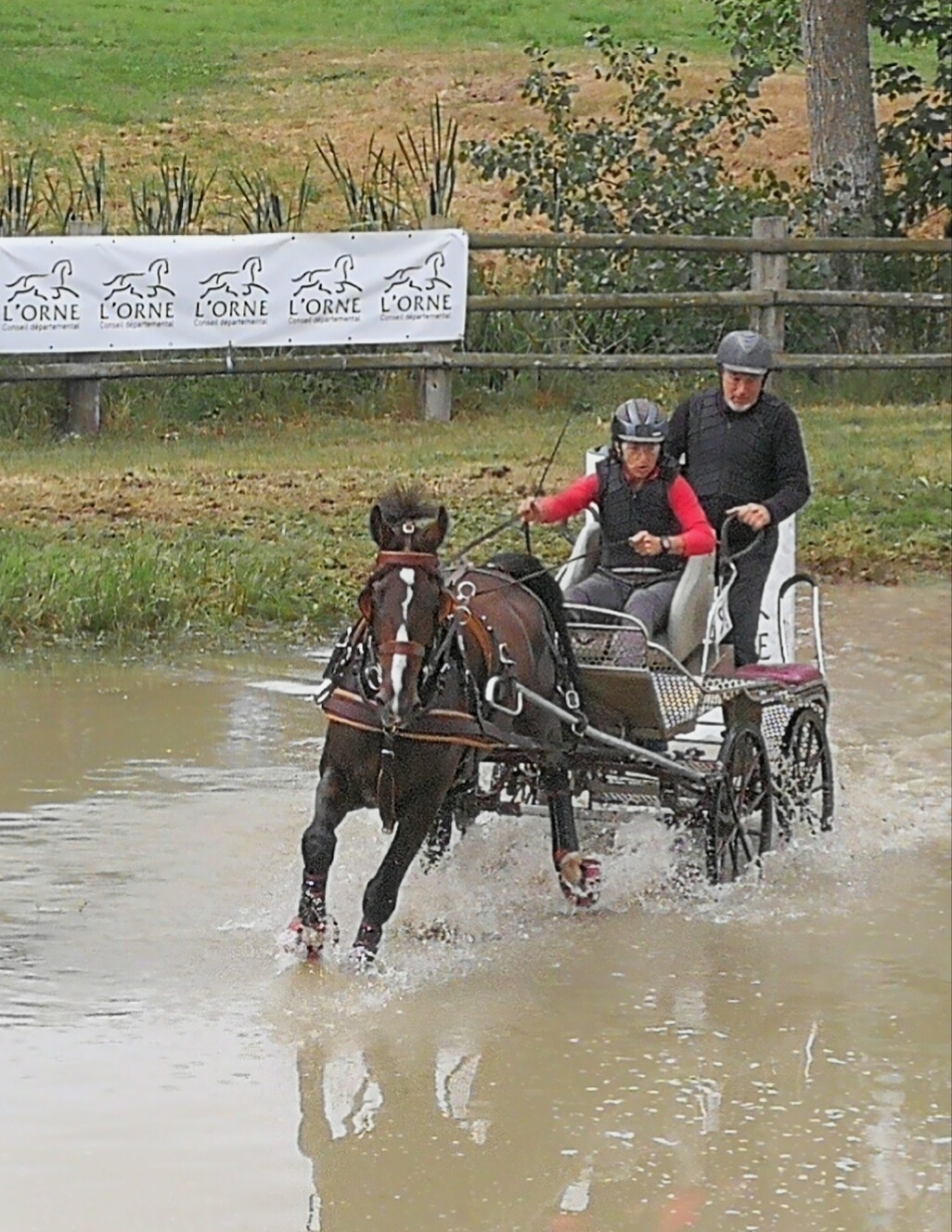 REPRESENTACION NAVARRA EN EL CONCURSO FEI ** ENGANCHES DE HARAS DU PIN (FRANCIA)